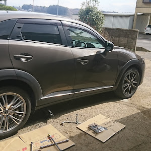 CX-3