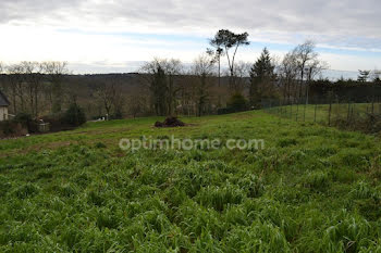 terrain à Renac (35)