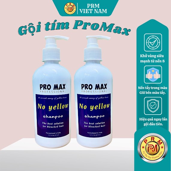 Dầu Gội Tím Promax, Dầu Gội Khử Vàng Và Giữ Màu Dành Cho Tóc Tẩy Nhuộm Màu Thời Trang - Prm Việt Nam