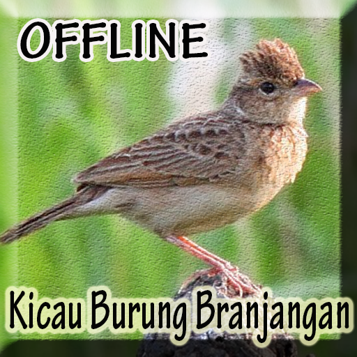 Suara Burung Branjangan Gacor 1 0 Apk Download Com Andromo