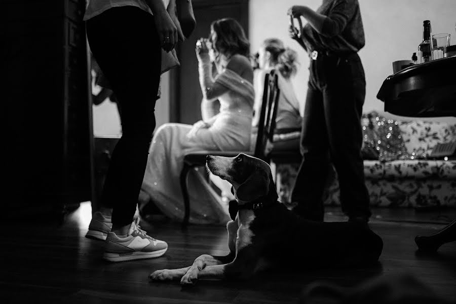 Photographe de mariage Nenad Bozovic (nenadpsphoto). Photo du 18 février