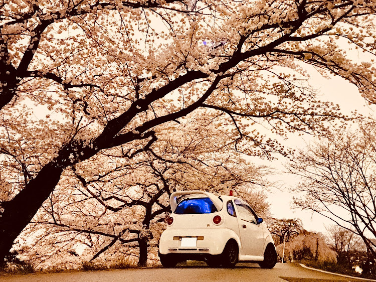 ツインの桜とコラボ🌸・discover＿ct・夜勤明け・ツインアーチ138・夜桜に関するカスタム事例の投稿画像5枚目