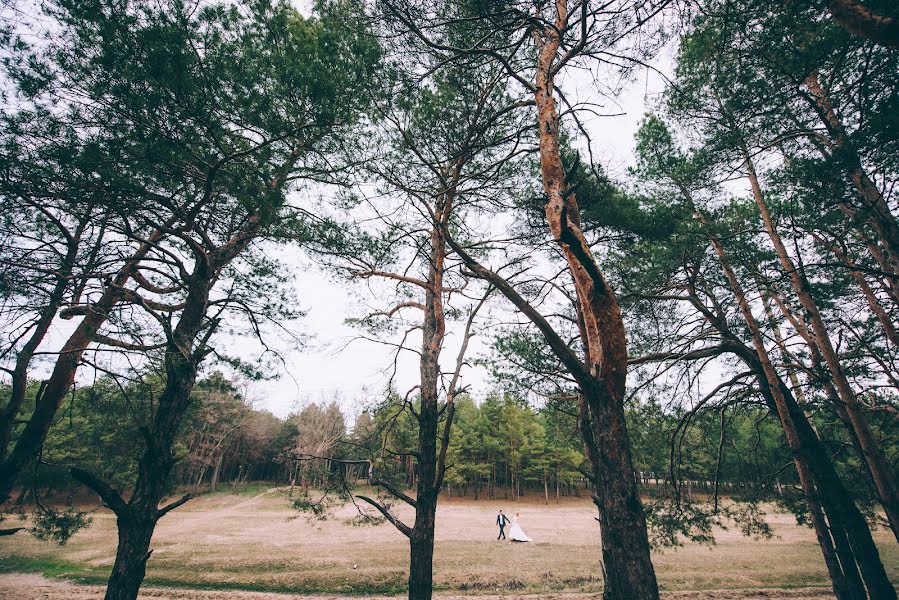 Wedding photographer Aleksey Kryuchkov (ak13). Photo of 30 March 2016