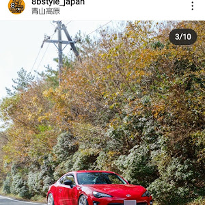 86 ZN6