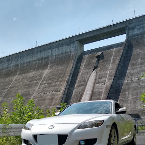 RX-8 SE3P