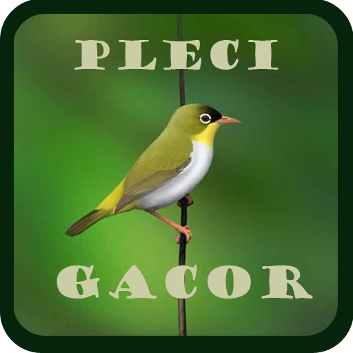 Pleci Gacor 1 0 Apk Download Com Huddev Plecigacor Apk Free