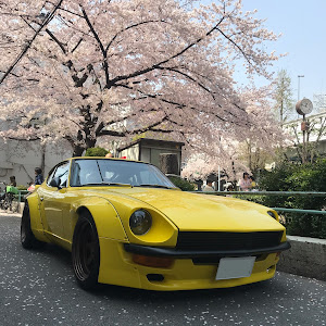 ダットサン Z