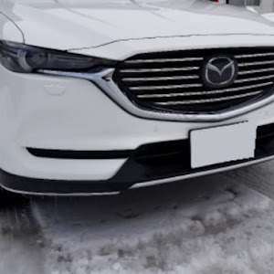 CX-8 KG2P