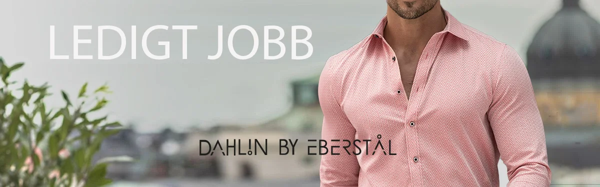 DAHLIN BY EBERSTL SKER DESIGN- & PRODUKTIONSASSISTENT