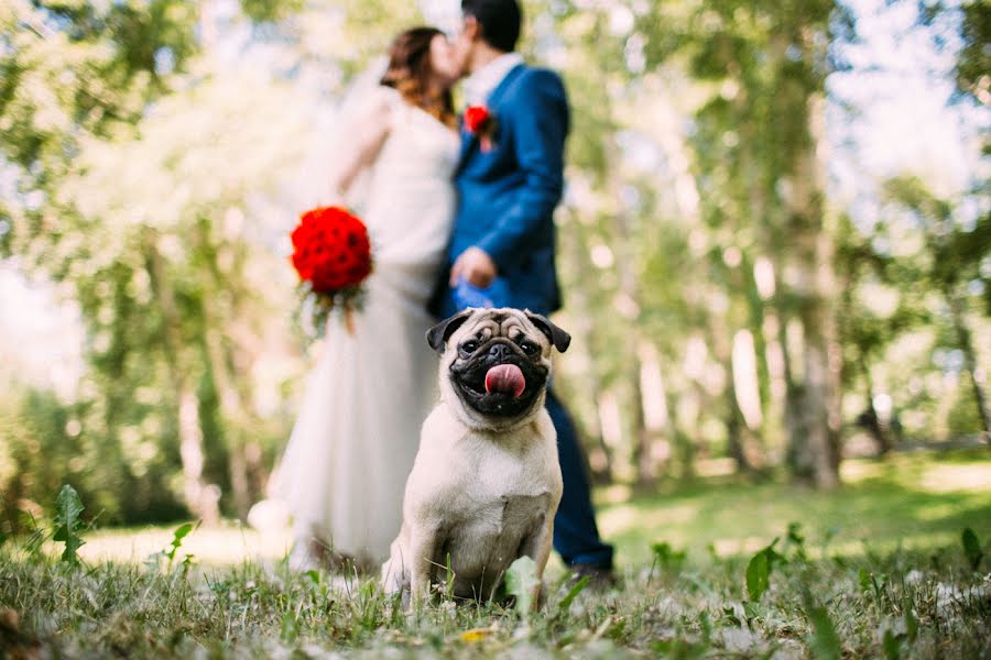 Wedding photographer Nikita Gorezin (gorezin). Photo of 18 July 2014