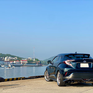 C-HR ZYX10