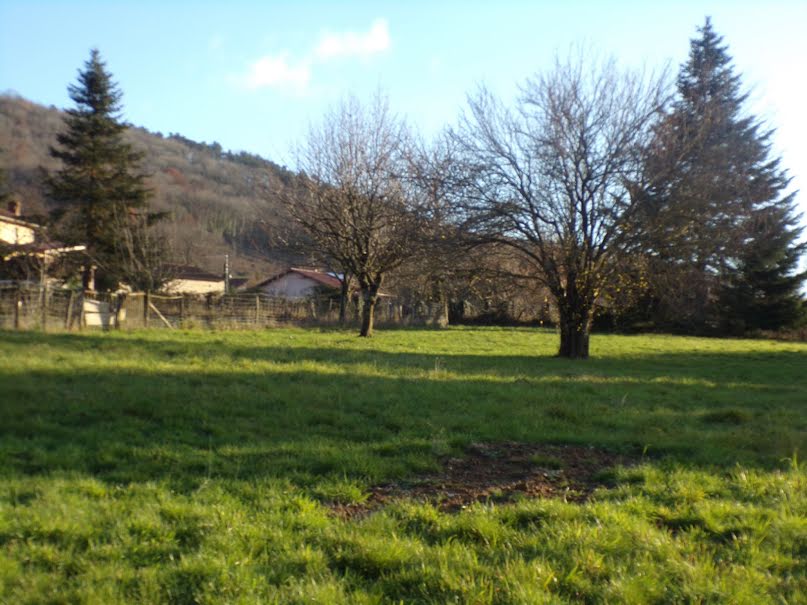 Vente terrain  700 m² à Jasseron (01250), 84 000 €