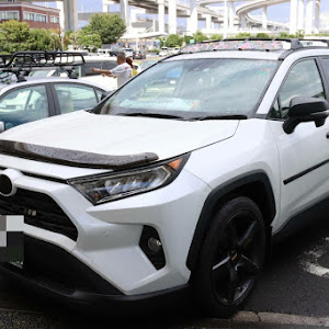 RAV4 AXAH52