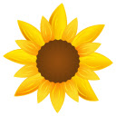 Sunflower Wallpapers Full HD New Tab