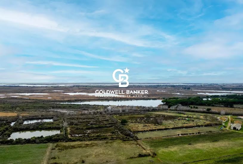  Vente Terrain agricole - 100 000m² à Aigues-Mortes (30220) 