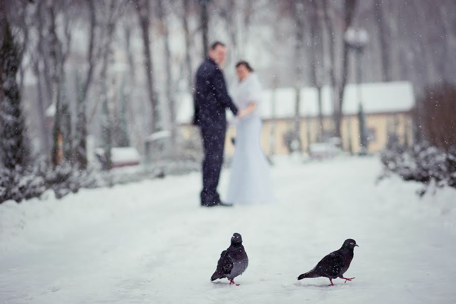 Wedding photographer Yuliya Bulash (julia-gemini). Photo of 20 January 2014