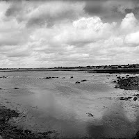 Dunguaire castle di 