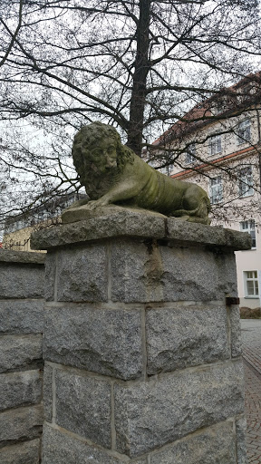 Löwe am Caroluskrankenhaus