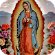 Download La Virgen Guadalupe Historia For PC Windows and Mac 1.0