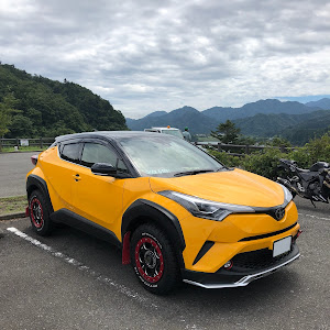 C-HR NGX50