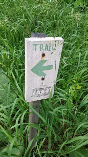 Green Trail Left