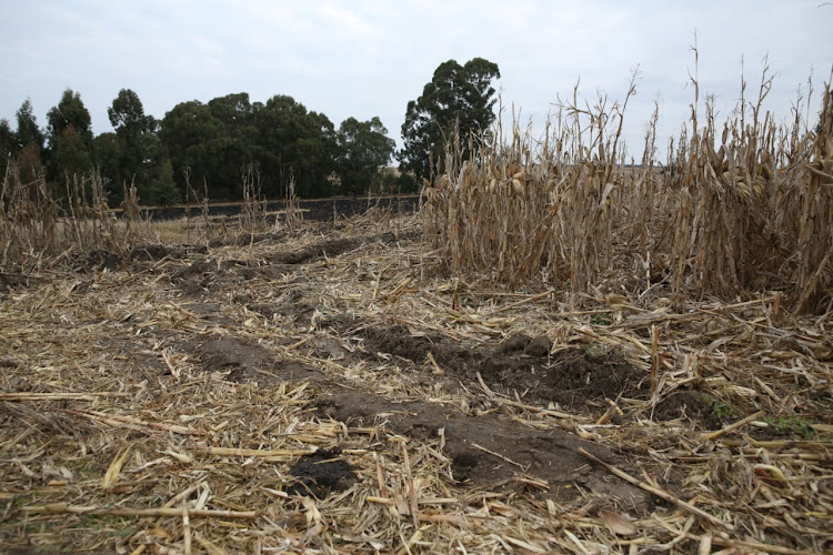 The portfolio committees on agriculture, land reform and rural development, as well as employment and labour, started a three-day oversight programme on Friday.