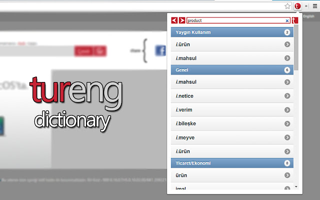 Tureng Dictionary chrome extension