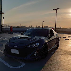 86 ZN6