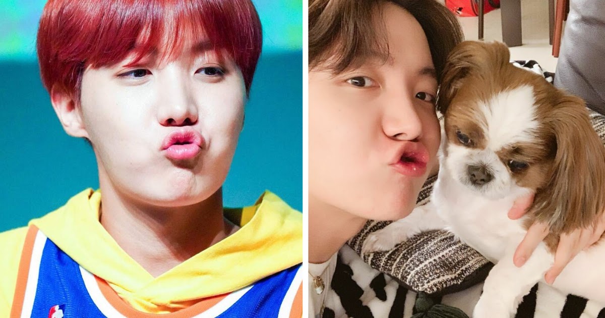 BTS: J-Hope proves he's true-blue ARMY as he talks about what he