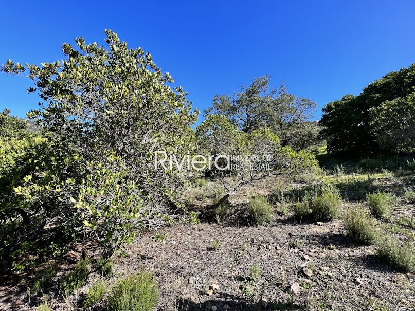 Vente terrain  2500 m² à Rayol-Canadel-sur-Mer (83820), 1 260 000 €