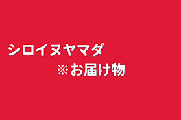 シロイヌヤマダ　　　　　※お届け物