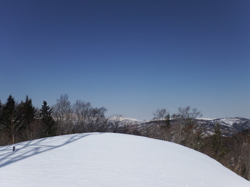 ここで右（西）へ折れる