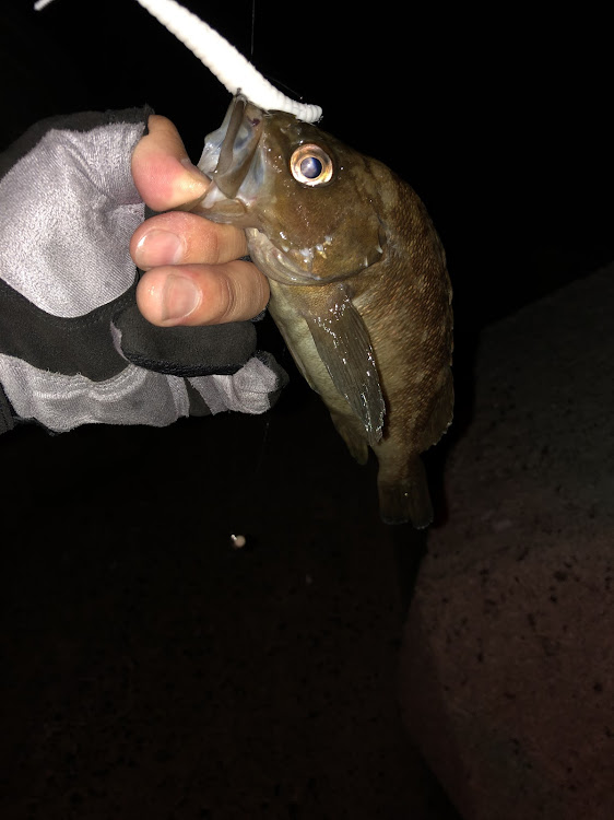 ヴォクシーのルアー・釣り・ロックフィッシュに関するカスタム事例の投稿画像2枚目