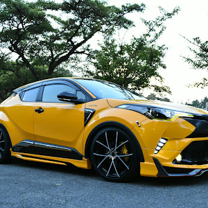 C-HR ZYX10