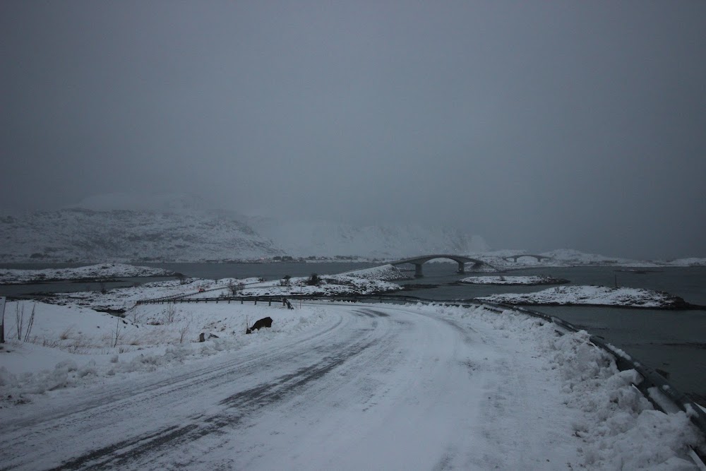 В погоне за снежными пейзажами (острова Lofoten в Новом 2020 году)