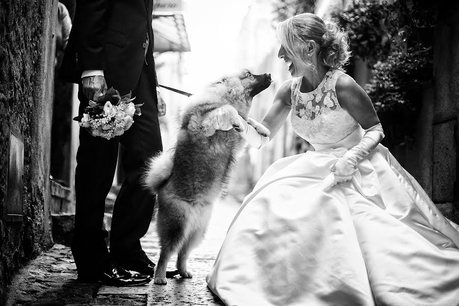 Photographe de mariage Beatrice Moricci (beatricemoricci). Photo du 2 juillet 2014