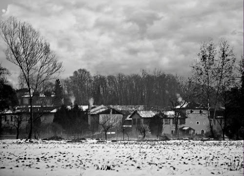 Il riposo della campagna d'inverno.... di AlfredoNegroni