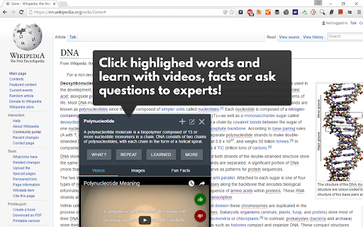 Click highlighed words and learn with videos, facts ask questions experts! Polynucleotide composed monomers double-stranded structure Meaning. proteins, 