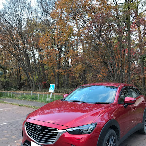 CX-3 DK5AW