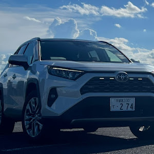 RAV4 MXAA54