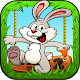 Bunny Run 2