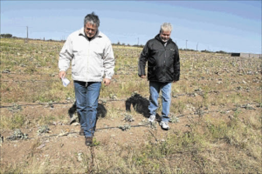 NEW OWNERS: Farmers Callie Calitz and Rassie Erasmus last week bought Julius Malema's farm near Polokwane in Limpopo for R2.5-million at an auction PHOTO: ELIJAR MUSHIANA