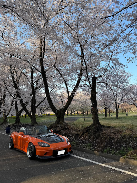 S2000の桜コラボ・桜と愛車・ドライブ・オフ会に関するカスタム事例の投稿画像2枚目
