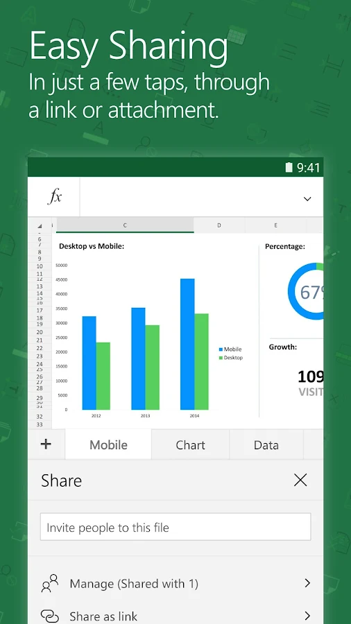    Microsoft Excel- screenshot  