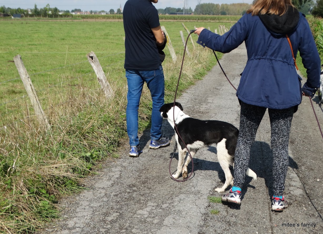  - Neva, jeune border collie ADOPTÉE   - Page 2 KuuH3X85hEoIswNp2srCJR7vemd41cGVxIdVBxzEcR9qGEiWOO6VW_MBCUYmjHa4pVmnTgcdvhCLTPE6dpBt-lDrYB6c08Kvn8hwoG6U2y5SeQyzaLT_iUJsotgvQ1LheEYbM2zYdynko-iAxvSMOlIWrBZhyfuNJqn1opY09Vil6BSRiIh4owA243heMiQLiqKxiI7zlAmEHg9YDZHPhYfEIERqb0QH8-jD3SNEODo0sSerAwy4KFmkmTh4bPqpO2vSOFf82G-fVfMdkEwR6YZJ8vODvk0bPn2yFra9xKbx5DB5gQdTQam3X_j8aLk0CgAaSbXxGr1gNqxH04ndvFSKk09msqUKMcG5F9safhliuRUj4kcQ2zky-s7sw0jN8d_nWLsFT9YeVmNhmxRAp0RM4BxzXu2eZtRkYx3On2cxe6oi7jmsae8TrznSn3I__xrFR-3kjIWThmp-rUHyMeB0ZvOQOPhgEIWO6yB2TfarW8ez49EOMKY4QALtPvfyqerBo60f8vxYP-6o8QWpqTXZtBuN5BwfOWlMInp7PFLk_3UHpPP2iULX8UWZJxaaPQtOeAKlBAYS9vR91PpgT6NgRRCg9-KVkgZoFDF6nbc=w1228-h892-no?pageId=102314735241138359955