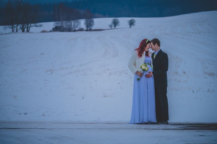 Hochzeitsfotograf Michal Zapletal (michal). Foto vom 8. März 2018