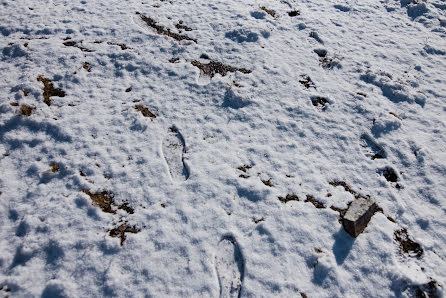 Φωτογράφος γάμων Pankkara Larrea (pklfotografia). Φωτογραφία: 14 Απριλίου 2022