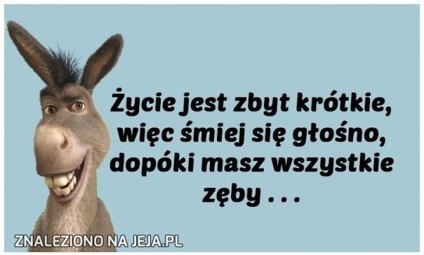 Śmiech to zdrowie – każdy ci to powie! – Radownisia