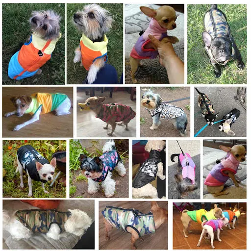 Warm Dog Clothing For Small Dog Windproof Winter Pet Dog Coat Jacket Padded Clothes Puppy Outfit Vest Yorkie Chihuahua C