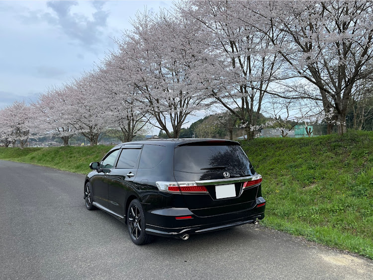 オデッセイのオデッセイrb3・サクラと愛車・桜・春ですねに関するカスタム事例の投稿画像3枚目